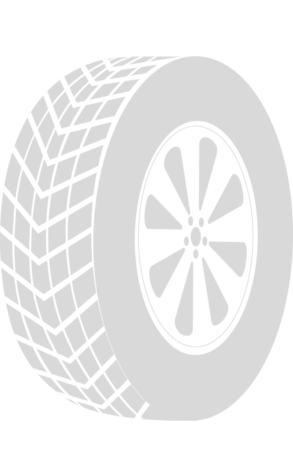 Pneu Goodyear 225/45R17 91Y