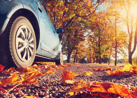 Sabe como preparar o seu carro para o outono? Blog MyForce