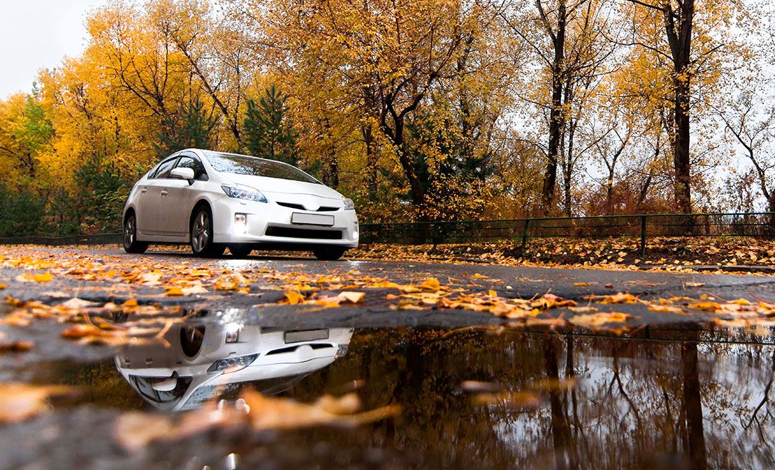 Como preparar o seu carro para o Outono | Conselhos e Blog MyForce