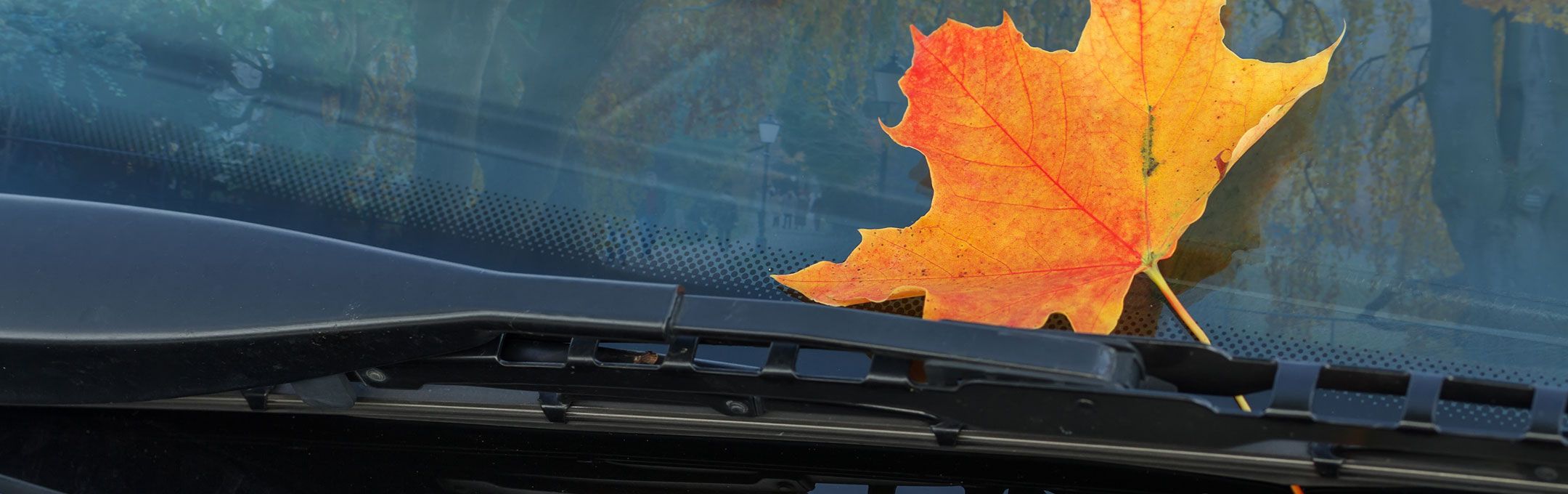 Conselhos p/cuidar dos limpa pára-brisas do carro | Blog MyForce