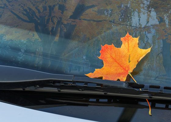 Conselhos p/cuidar dos limpa pára-brisas do carro | Blog MyForce